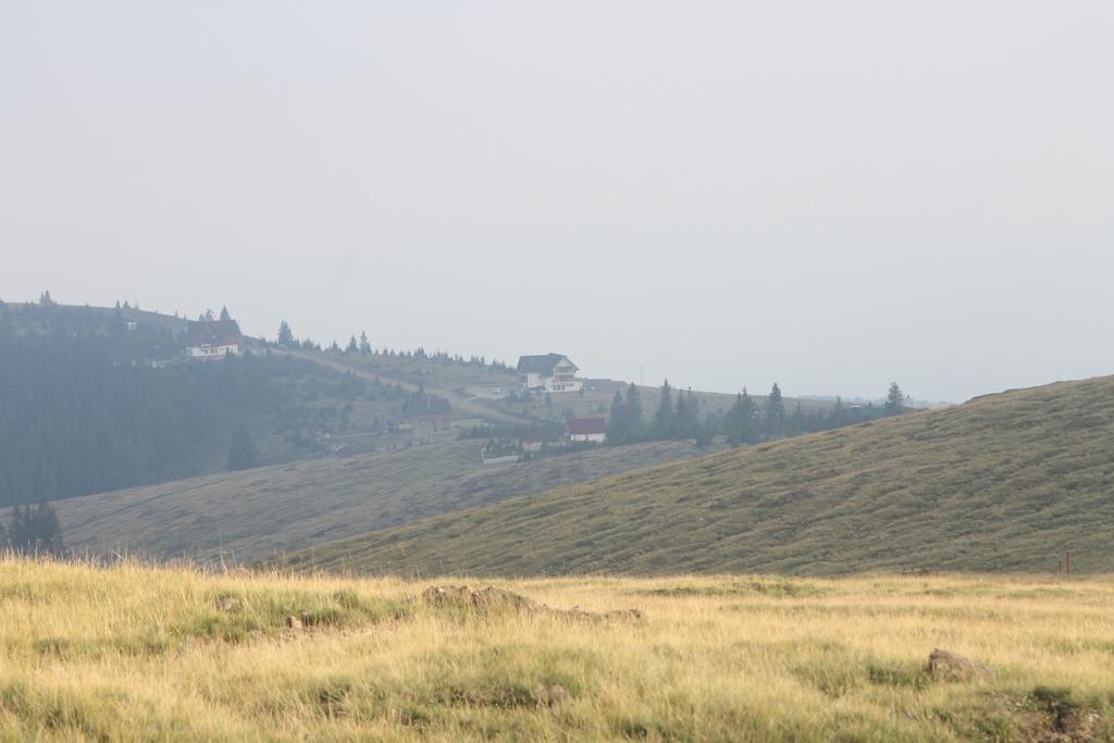 Pensiunea Muntele Alb Horezu Exterior foto